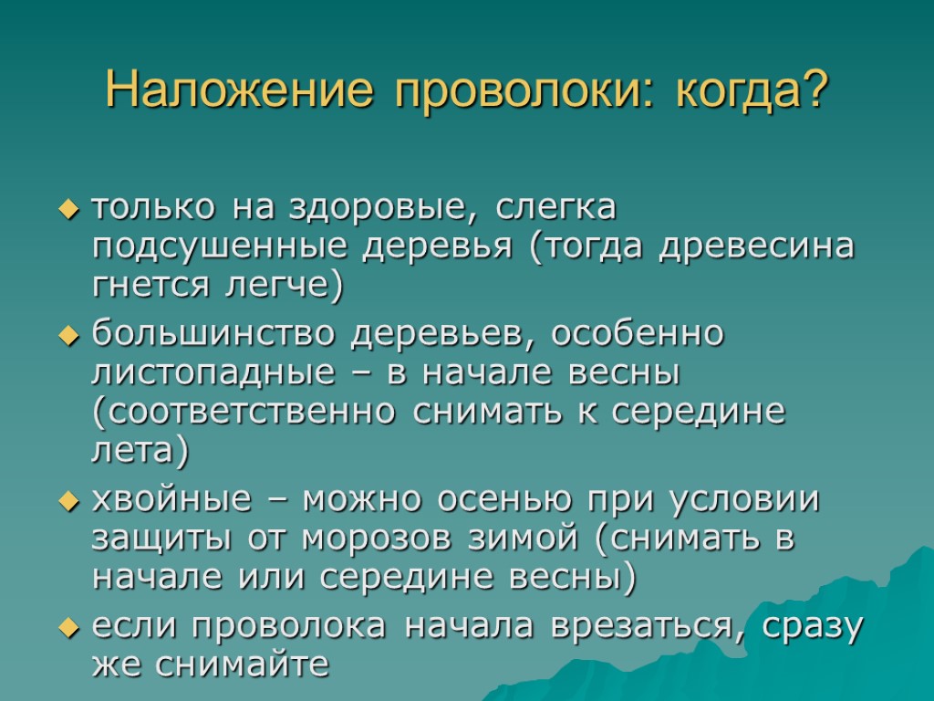 Наложение проволоки: когда? только на здоровые, слегка подсушенные деревья (тогда древесина гнется легче) большинство